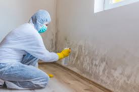 Best Emergency Mold Remediation  in Lonville, GA